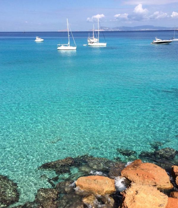 Arena Catamaran Ibiza playa cala