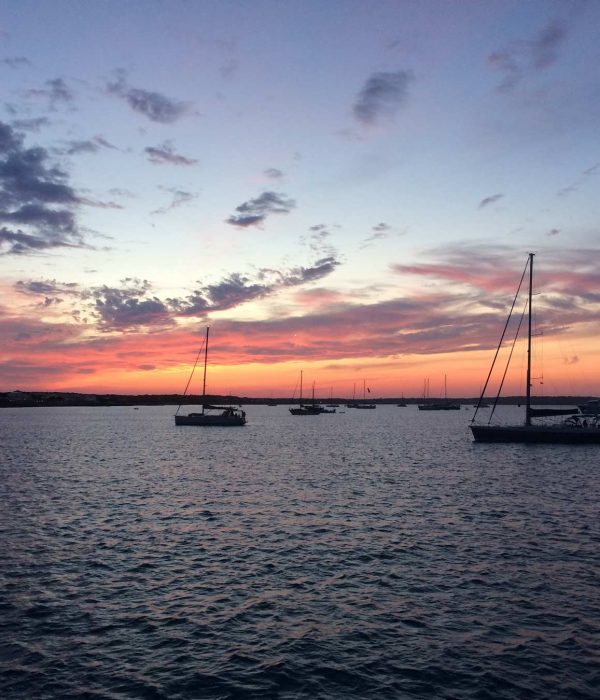 arena catamaran sunset