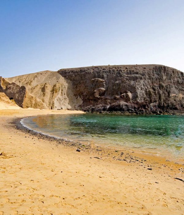 arena catamaran lanzarote